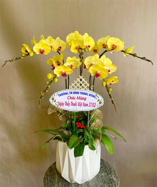 Trường Tiểu học Bình Trưng Đông chúc mừng Kỉ niệm 69 năm ngày Thầy thuốc Việt Nam (27/2/1955 - 27/2/2024)