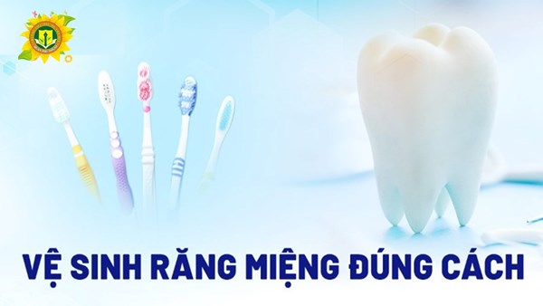 Hướng dẫn vệ sinh răng miệng - Bệnh viện răng hàm mặt TP.HCM