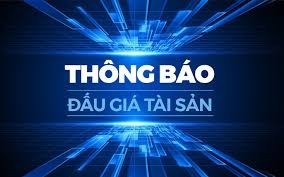 Thông báo đấu thầu tài sản
