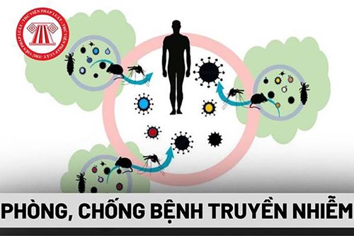 Trẻ đến trường cần làm gì để phòng tránh bệnh truyền nhiễm