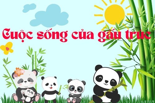 Khám phá: Cuộc sống vui nhộn của gấu trúc