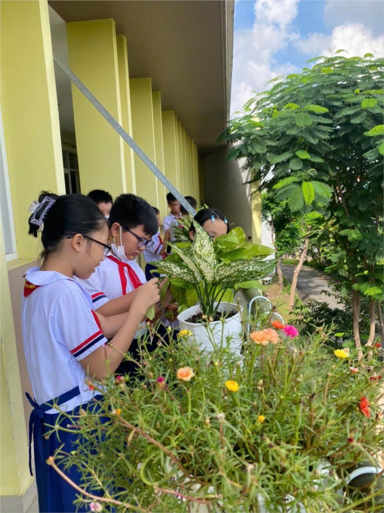 Ảnh đại diện