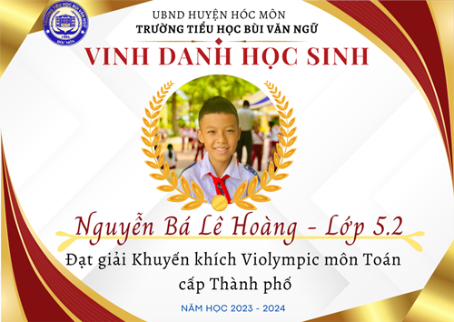 Chúc mừng Học sinh đạt giải Violympic Toán cấp Thành phố NH 2023-2024