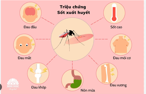 Bài truyền thông bệnh SỐT XUẤT HUYẾT