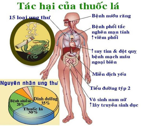 Tác hại của thuốc lá