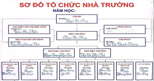 Tổ chức bộ máy