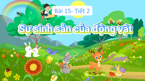 Khối 5 – Tuần 16 – Môn Khoa học – Bài 15 Sự sinh sản của động vật (tiết 2)