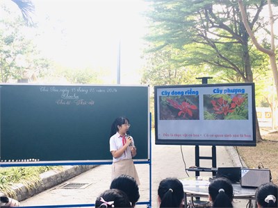 Chuyên đề tích hợp giáo dục Stem trong dạy học dự án, giúp học sinh khám phá môi trường tự nhiên đối với môn Khoa học