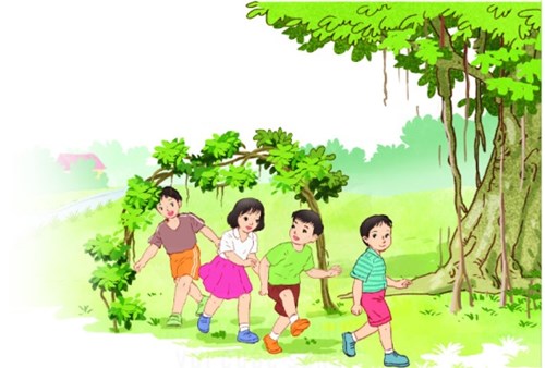 Chiếc rễ đa tròn