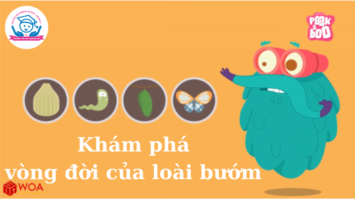 Ảnh đại diện