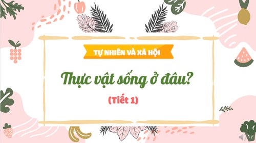 Khối 2 - Tự nhiên và xã hội: Thực vật sống ở đâu?