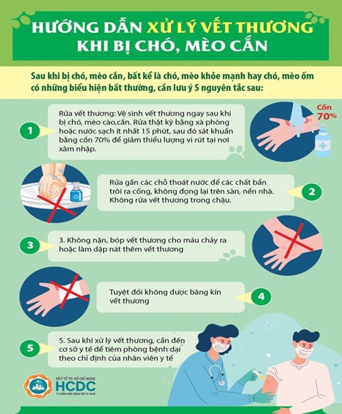 Hướng dẫn xử lý vết thương khi bị chó, mèo cắn