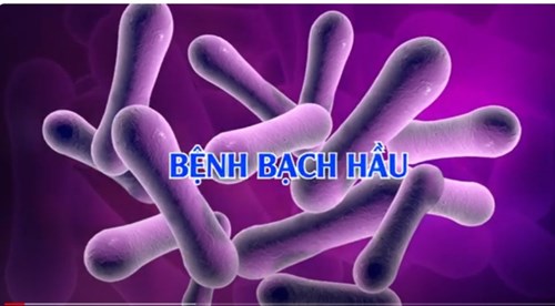 Nguyễn Thi - Bạch Hầu, Bệnh Truyền Nhiễm Nguy Hiểm.
