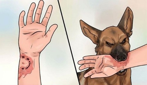 Truyền thông cho các em học sinh cách phòng chống bệnh dại