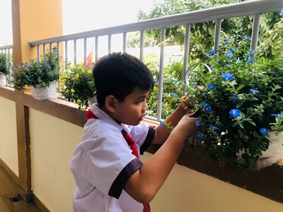  Hành Động Xanh - Trường Học Xanh 
Nơi hành động nhỏ, tạo nên thay đổi lớn!