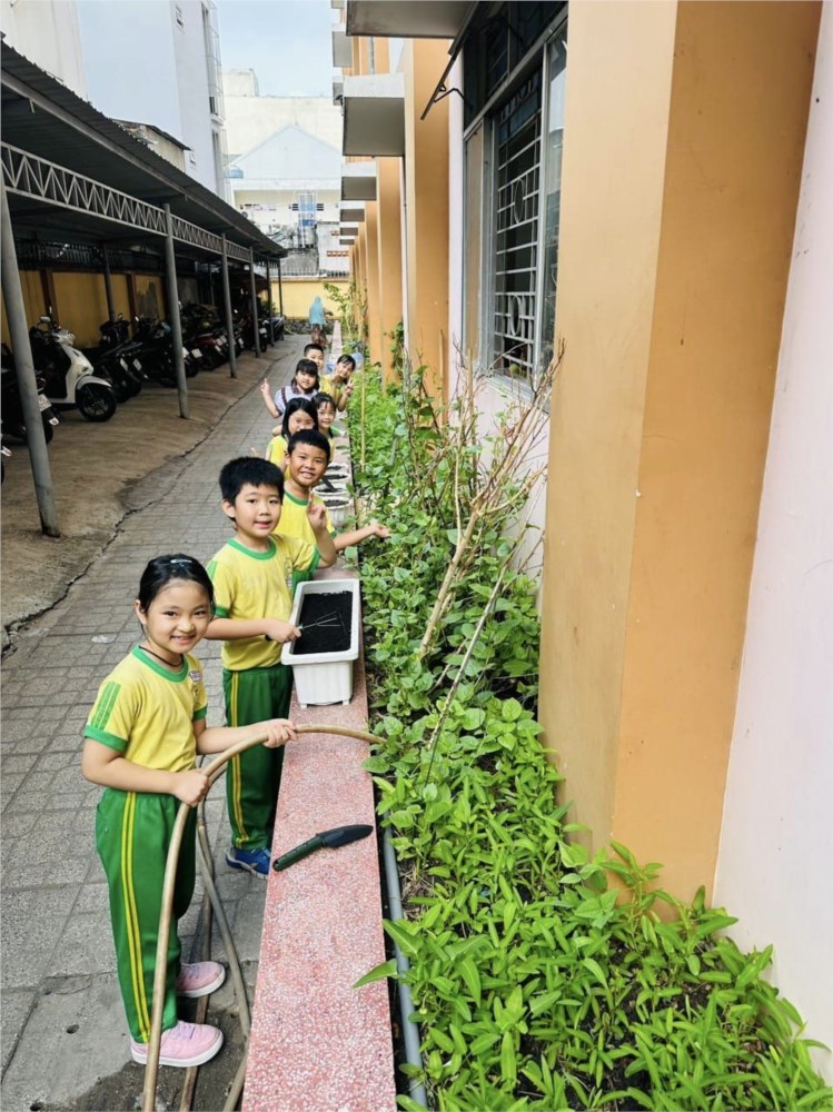 Mô hình “Vườn rau sạch” đã được tập thể cán bộ giáo viên, nhân viên và học sinh trong toàn trường xây dựng.