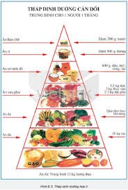 Thực đơn bán trú Tuần 35