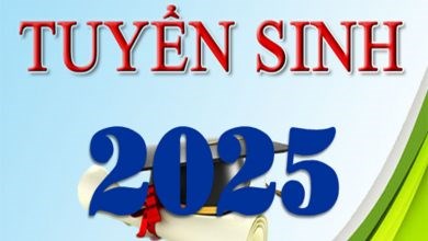 MỘT SỐ LƯU Ý THÔNG TIN ĐẾN QUÝ PHỤ HUYNH📣📣📣📣📣📣 Trang xác nhận tuyển sinh:
https://tuyensinhdaucap.hcm.edu.vn