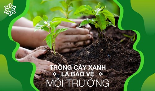 Trường tiểu học lương thế vinh tổ chức hoạt động trồng cây nhớ bác nhân ngày 19/5