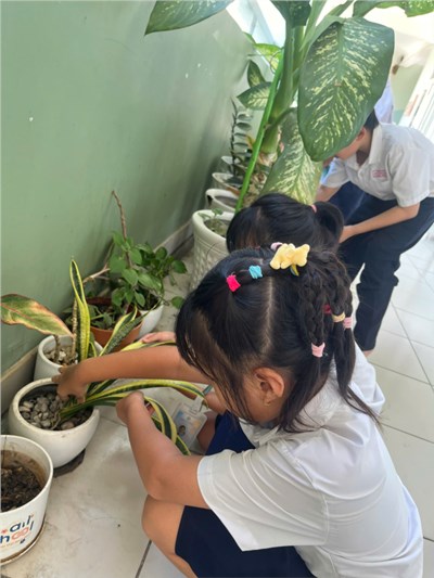 Liên đội Trường TH Lý Thái Tổ tổ chức thực hiện tìm hiểu thiên nhiên để có môi trường xanh- sạch - đẹp