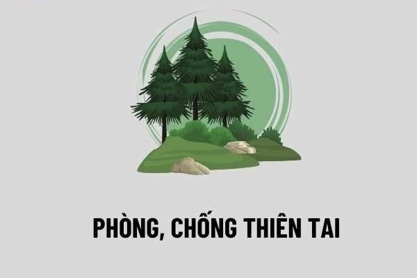 Hưởng ứng tuần lễ quốc gia phòng, chống thiên tai (15- 22/5/2025)