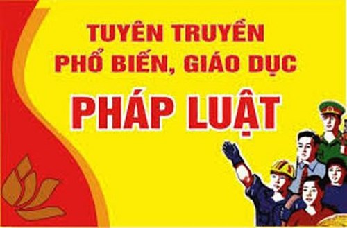 Thông tin các văn bản quy phạm  pháp luật của Trung ương  và Thành phố về công tác sắp xếp, tổ chức bộ máy