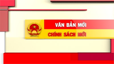 Nghị quyết số 50/2024/NQ-HĐND của Hội đồng nhân dân Thành phố Hồ Chí Minh ngày 11 tháng 12 năm 2024 về việc quy định về chế độ hỗ trợ thêm đối với trường hợp nghỉ do tinh giản biên chế; nghỉ do dôi dư khi sắp xếp đơn vị hành chính; nghỉ công tác trước tuổi do không đủ điều kiện về tuổi tái cử, tái bổ nhiệm giữ các chức vụ, chức danh theo nhiệm kỳ; nghỉ công tác trước tuổi không thuộc diện tinh giản biên chế trên địa bàn Thành phố Hồ Chí Minh