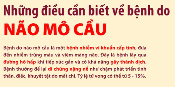 Những điều cần biết về bệnh do Não mô cầu